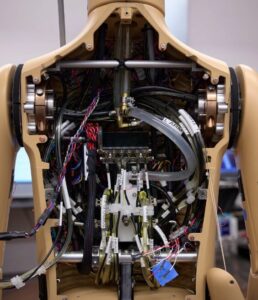 A photo of the exposed, open back of a robot. There are dozens of visible wires visible.